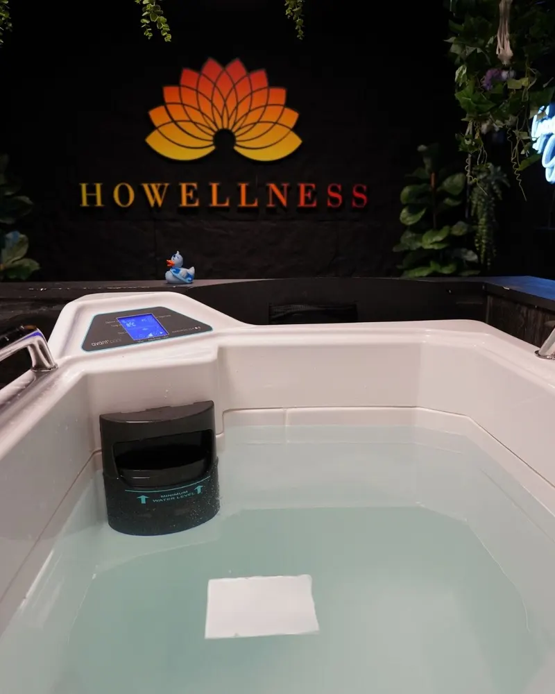 Howellness project image 3 of 4